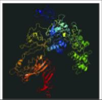 Figure 1: Predicted 3-D Structure