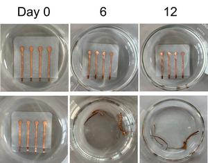 This ‘living plastic’ activates and self-destructs on command
