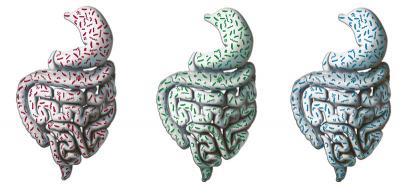 Humans' 3 Gut Types