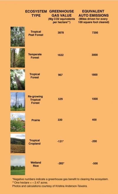 Ecosystem Types