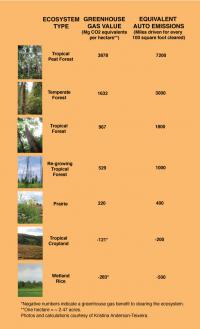 Ecosystem Types