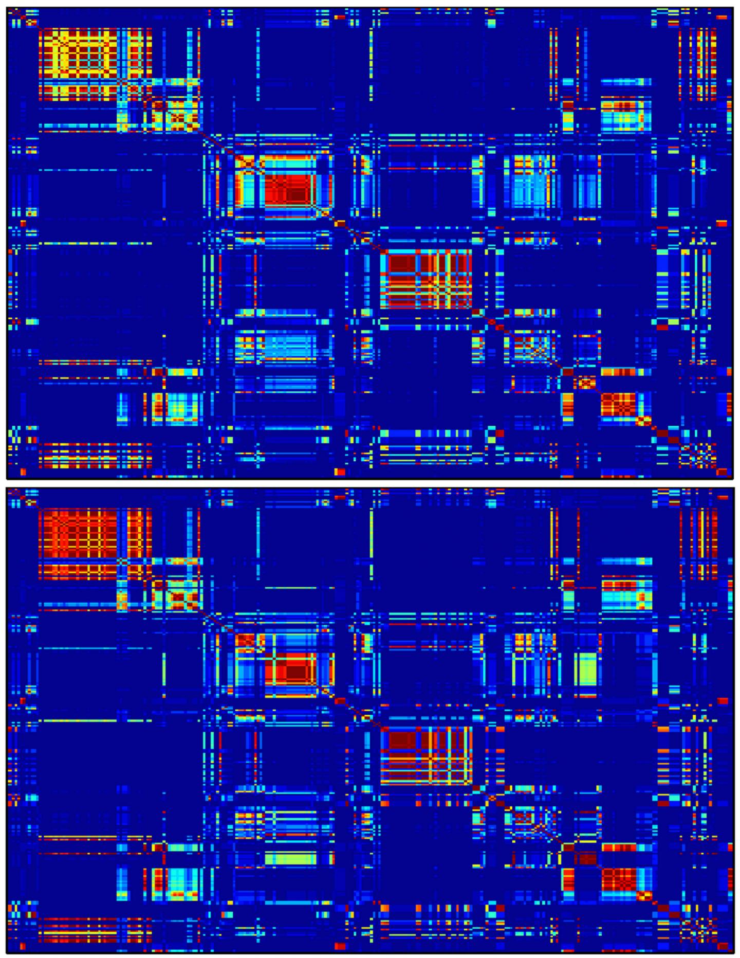Changing Brain Networks