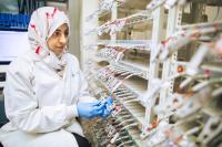 Stopping the Sulfur Shuttle for Better Batteries (2 of 3)