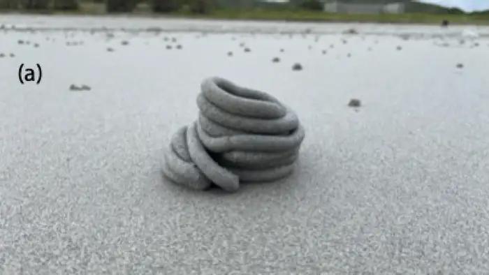 Lugworm excrement