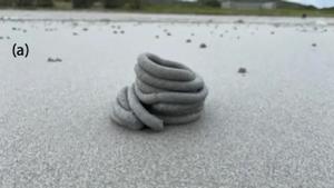 Lugworm excrement