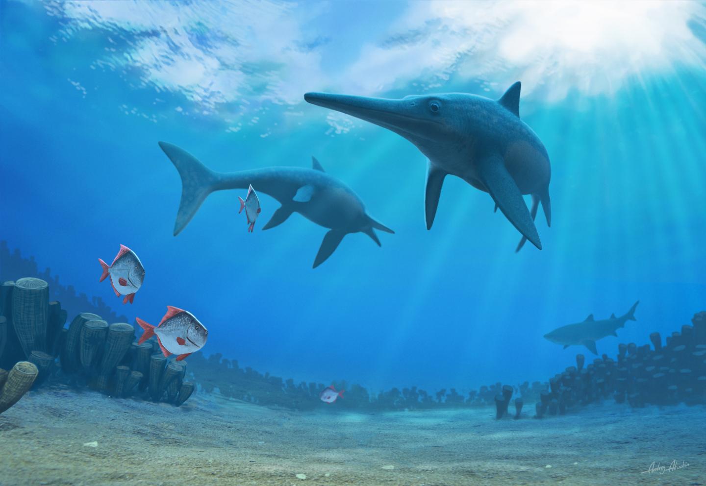 Ichthyosaurs