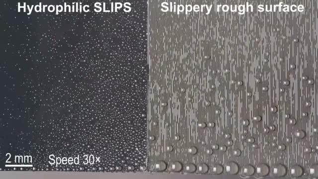 Liquid-Repellent Surface Maximizes Water Harvest and Transport (3 of 4)