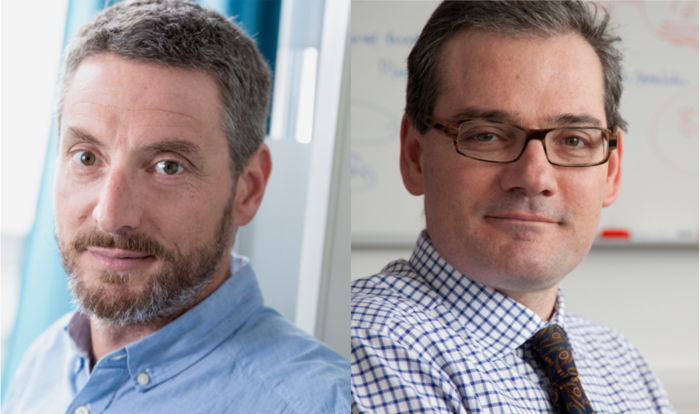 Investigator Alexandre Harari and George Coukos, Director of the Lausanne Branch of the Ludwig Institute for Cancer Research