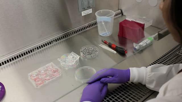 Reconfigurable Multi-Organ-on-a-Chip System Reliably Evaluates Chemotherapy Toxicity (4 of 5)