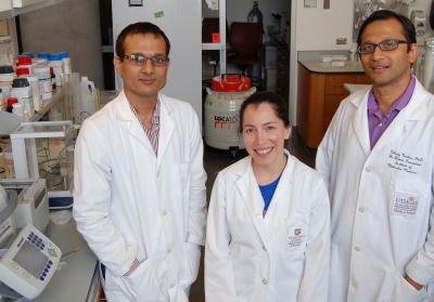 Peripheral Vascular Disease Research