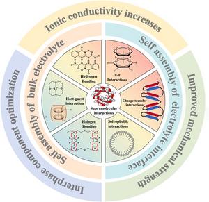 Fig. 1. Illustration of how self-assembly with supramolecular interactions enhance SSLBs performance in bulk electrolyte and at the interface of electrolyte