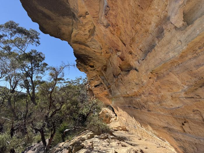 A rock shelter located by the LiDar in the Blue Mountains