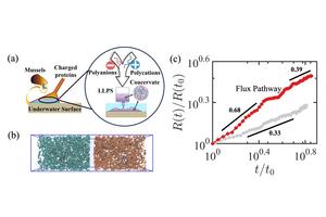 Schematic illustrations of flux pathway