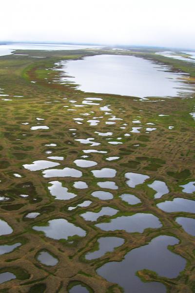 Thermokarst Lakes Aerial