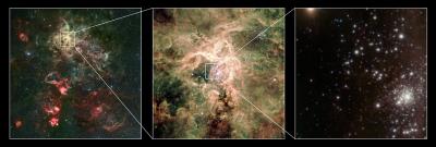 The Young Cluster RMC 136a