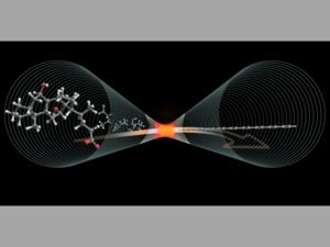 Carbyne Nanotubes