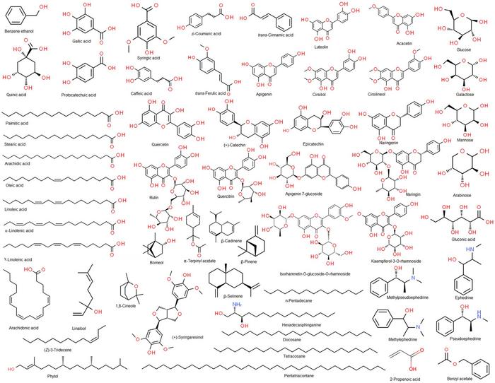 Structures of the phytochemicals present in Ephedra alata