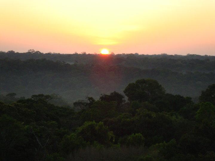 Amazon Canopy