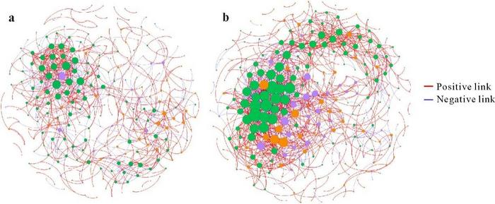 Microbial Networks Intensify in Winter Wetlands.