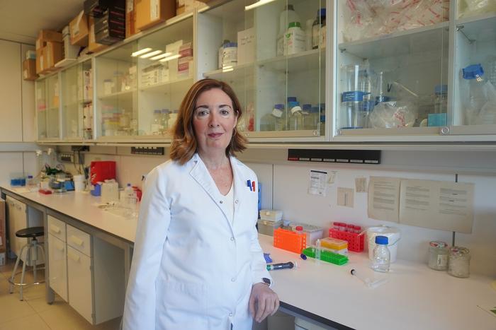 Sonia Bañuelos, researcher at the Biofisika Institute and professor in the Department of Biochemistry and Molecular Biology at the University of the Basque Country (EHU) | Photo: EHU