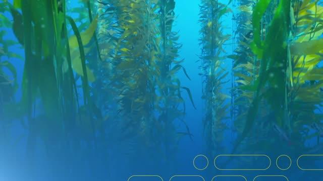 Bacteria Bullets to Combat Algal Blooms