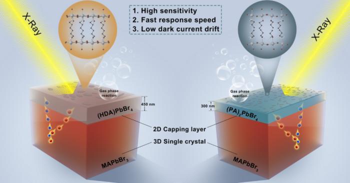 Gas‑Phase Construction of Compact Capping Layers for High‑Performance Halide Perovskite X‑Ray Detectors