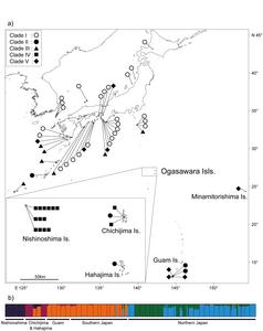 Geographical dispersion of different genetic groups of Portulaca oleracea.