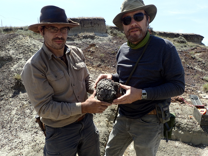 Study Pinpoints Timing of Chicxulub Asteroid Impact