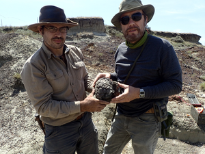 Study Pinpoints Timing of Chicxulub Asteroid Impact