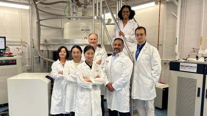 McMaster research group