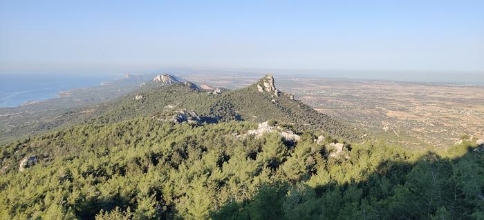 Habitat of Ingrid Maria´s carcina