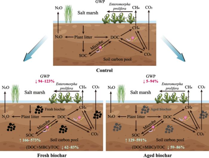 Biochar mitigates the mineralization of allochthonous organic matter and global warming potential of saltmarshes by influencing functional bacteria