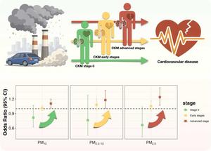 Graphical Abstract