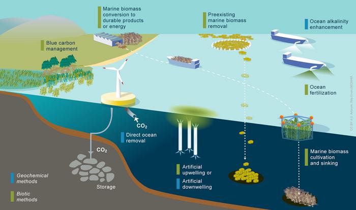 The many ways to extract CO2 from the Ocean