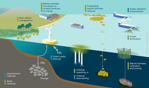 The many ways to extract CO2 from the Ocean