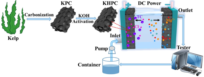Schematic diagram for synchronous removal of tetracycline and water hardness ions by capacitive deionization