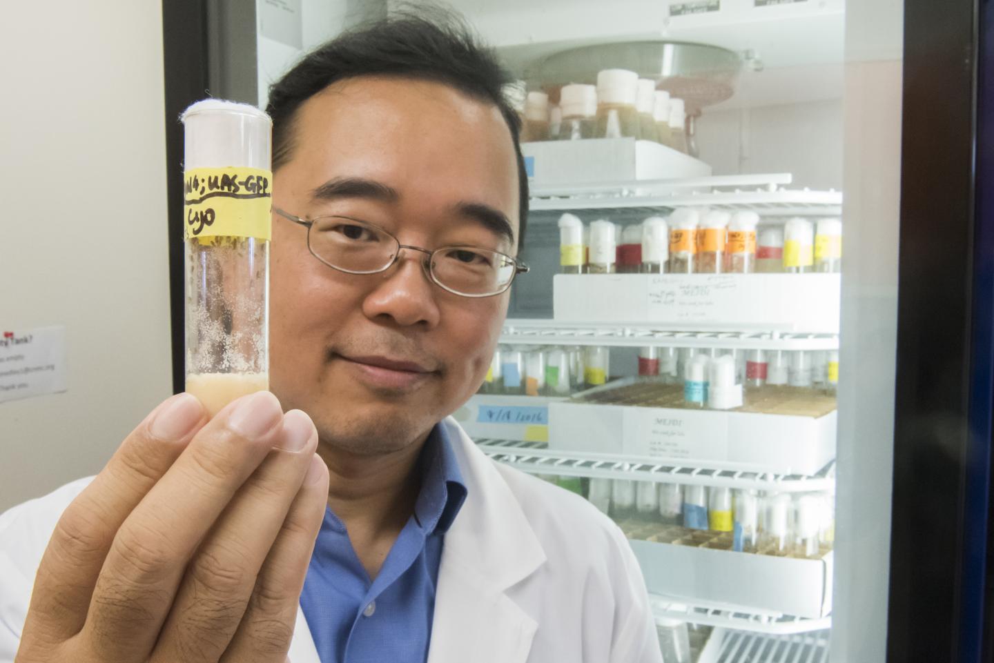 Zhe Han, Center for Cancer & Immunology Research