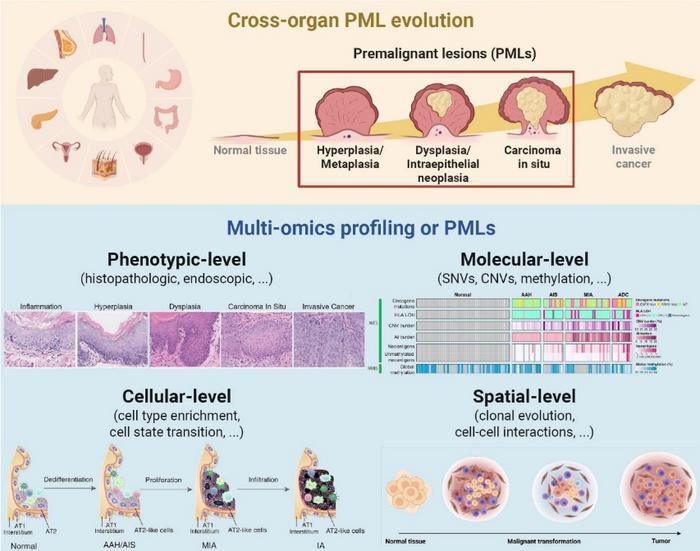 Fig. 1. Multimodal and multi-omics analysis framework for premalignant lesions