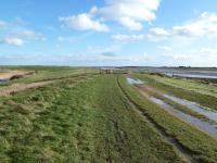 Hadleigh Marsh Landfill