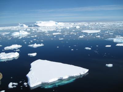 Climate Change and Ocean Life (2 of 14)