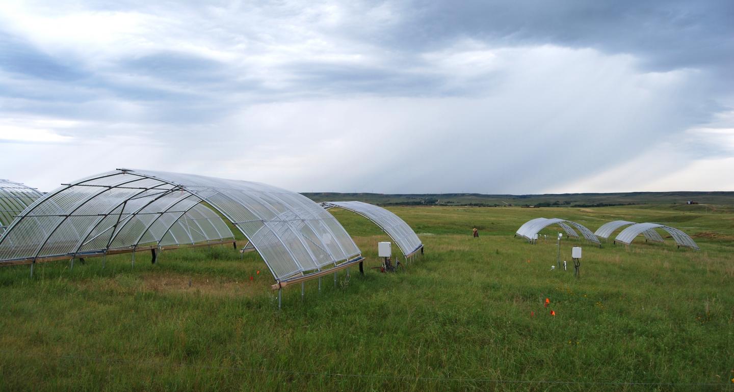 Mid-Summer View