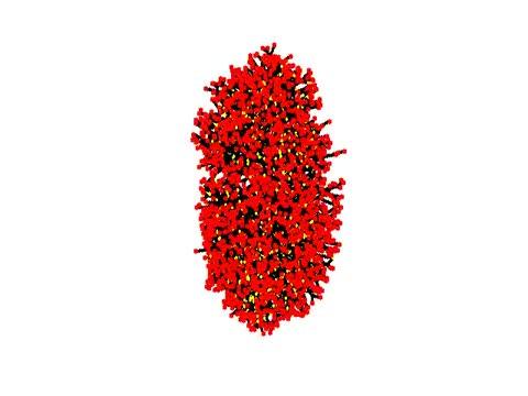 Simulation of the Branching Process in 3 Dimensions (2 of 2)