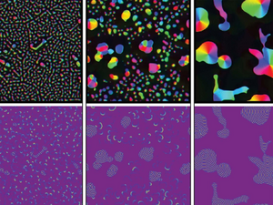 Simulation demonstrating active matter