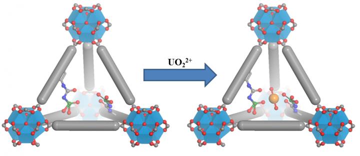 Metal-organic Frameworks
