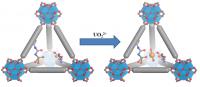 Metal-organic Frameworks