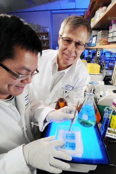 Chiaolong Hsiao and Loren Williams, Georgia Institute of Technology (1 of 2) 
