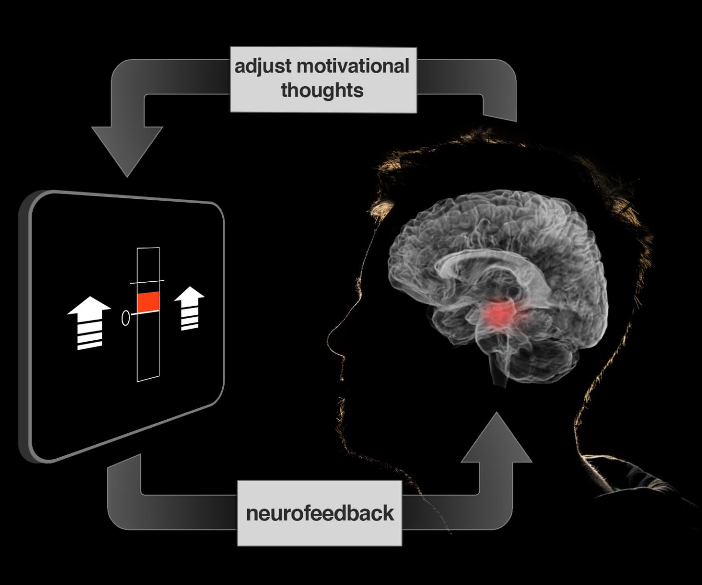 rtfMRI Screen