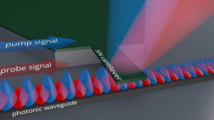 Principle of the Sensor