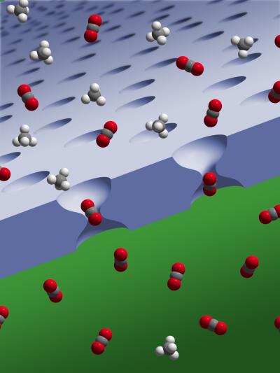 Membrane and Molecules