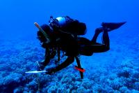Carsten Grupstra diving